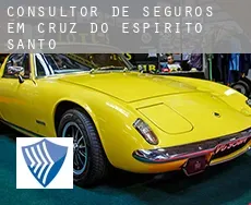 Consultor de seguros em  Cruz do Espírito Santo