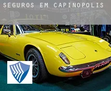 Seguros em  Capinópolis