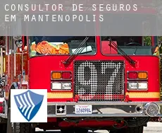 Consultor de seguros em  Mantenópolis