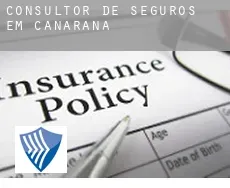 Consultor de seguros em  Canarana