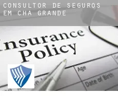 Consultor de seguros em  Chã Grande