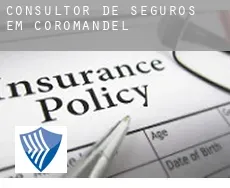 Consultor de seguros em  Coromandel