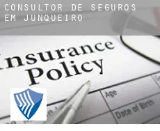 Consultor de seguros em  Junqueiro