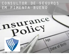 Consultor de seguros em  Pimenta Bueno