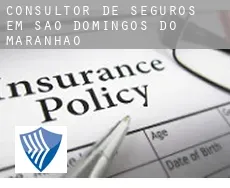 Consultor de seguros em  São Domingos do Maranhão