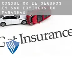 Consultor de seguros em  São Domingos do Maranhão