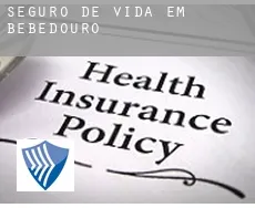Seguro de vida em Bebedouro