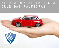 Seguro dental em  Santa Cruz das Palmeiras