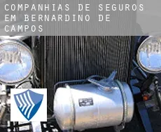 Companhias de seguros em  Bernardino de Campos
