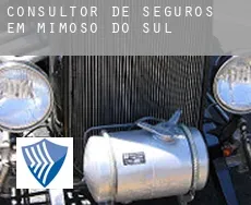 Consultor de seguros em  Mimoso do Sul