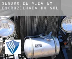 Seguro de vida em  Encruzilhada do Sul