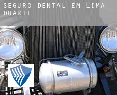 Seguro dental em  Lima Duarte