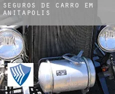 Seguros de carro em  Anitápolis