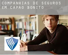 Companhias de seguros em  Capâo Bonito