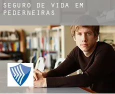 Seguro de vida em  Pederneiras