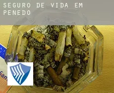 Seguro de vida em  Penedo