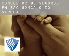 Consultor de seguros em  São Gonçalo do Sapucaí