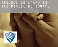 Seguros de carro em  São Miguel do Iguaçu