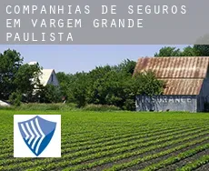 Companhias de seguros em  Vargem Grande Paulista
