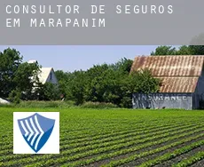 Consultor de seguros em  Marapanim