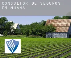 Consultor de seguros em  Muaná