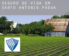 Seguro de vida em  Santo Antônio de Pádua
