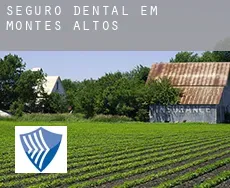 Seguro dental em  Montes Altos