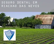 Seguro dental em  Riachão das Neves