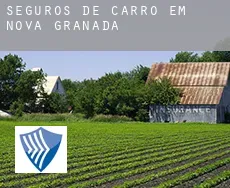 Seguros de carro em  Nova Granada
