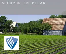 Seguros em  Pilar