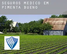 Seguros médico em  Pimenta Bueno