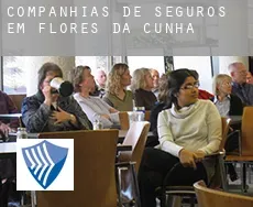 Companhias de seguros em  Flores da Cunha