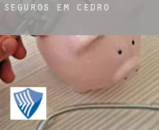 Seguros em  Cedro