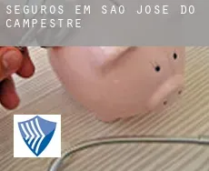 Seguros em  São José do Campestre