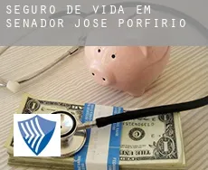 Seguro de vida em  Senador José Porfírio