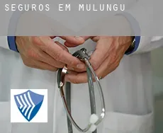 Seguros em  Mulungu