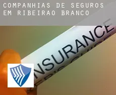 Companhias de seguros em  Ribeirão Branco