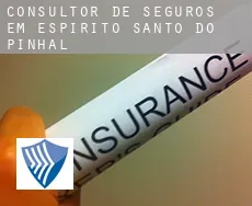 Consultor de seguros em  Espírito Santo do Pinhal