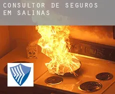 Consultor de seguros em  Salinas