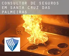 Consultor de seguros em  Santa Cruz das Palmeiras