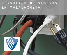 Consultor de seguros em  Malacacheta