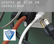 Seguro de vida em  Chorozinho