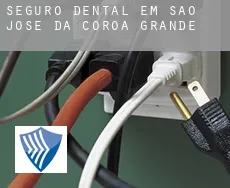 Seguro dental em  São José da Coroa Grande
