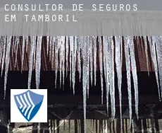 Consultor de seguros em  Tamboril