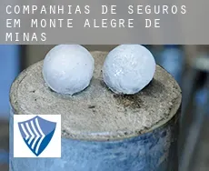 Companhias de seguros em  Monte Alegre de Minas