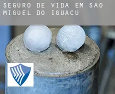 Seguro de vida em  São Miguel do Iguaçu