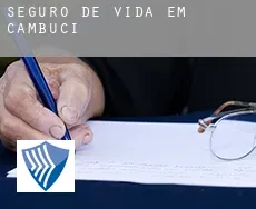 Seguro de vida em  Cambuci