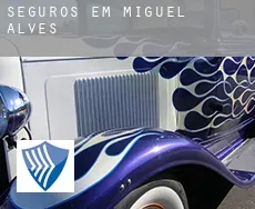 Seguros em  Miguel Alves