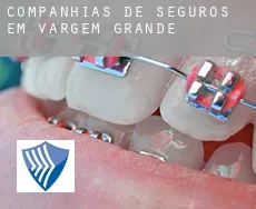 Companhias de seguros em  Vargem Grande