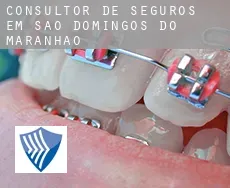 Consultor de seguros em  São Domingos do Maranhão